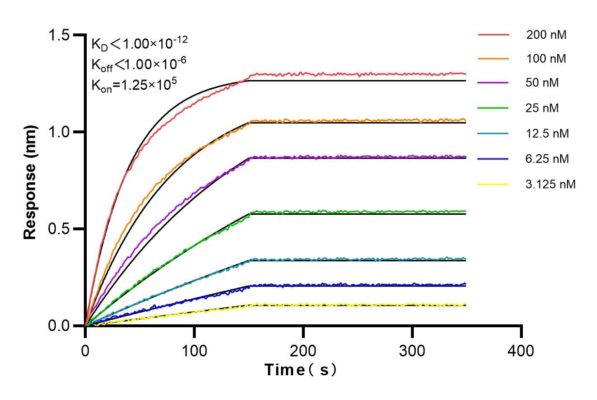Affinity and Kinetic Characterization of 98038-2-RR