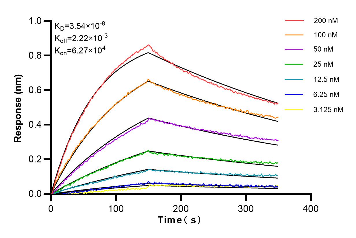 Affinity and Kinetic Characterization of 98047-1-RR