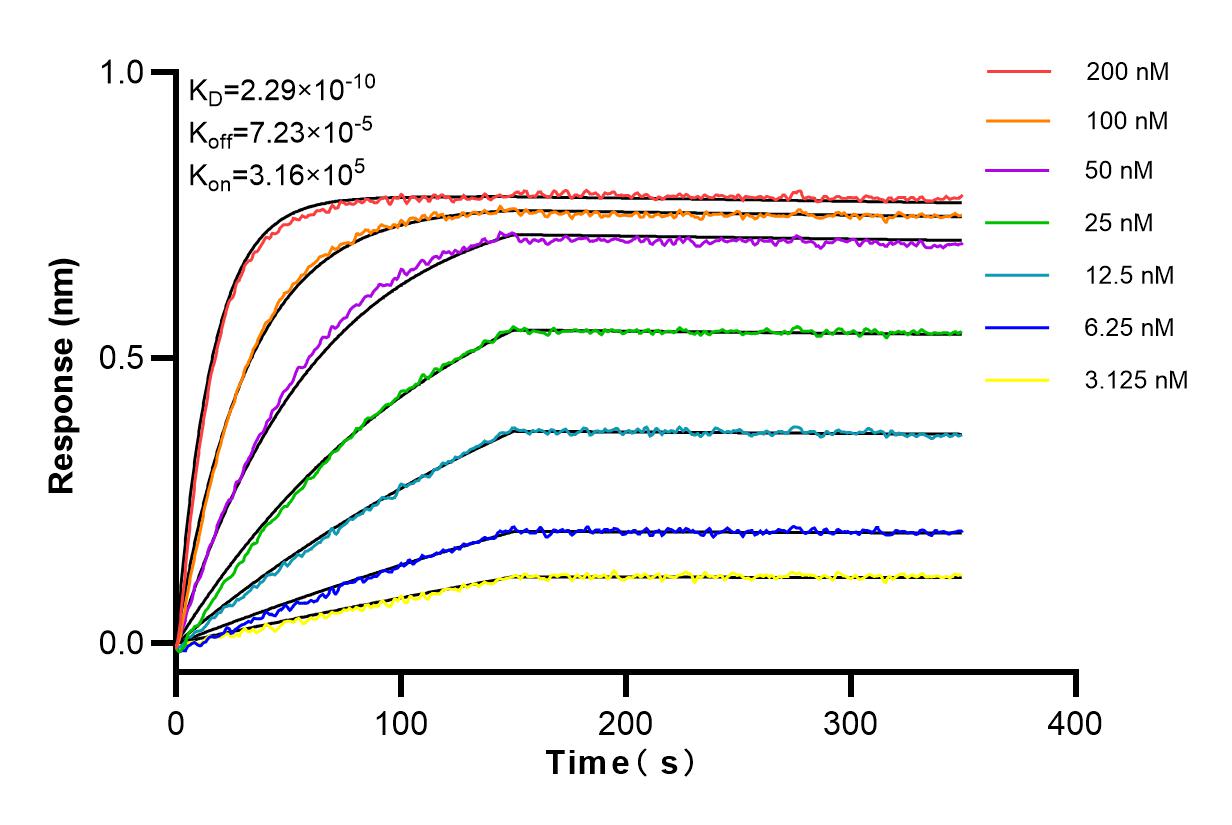 Affinity and Kinetic Characterization of 98055-1-PBS