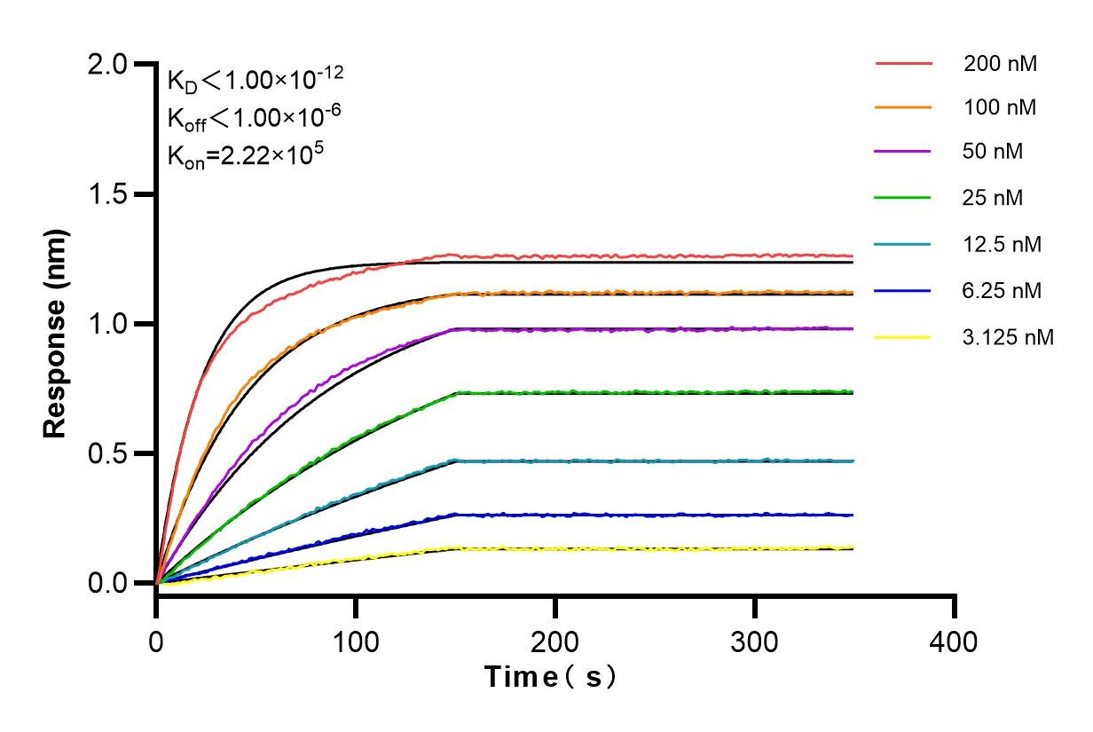 Affinity and Kinetic Characterization of 98058-1-RR