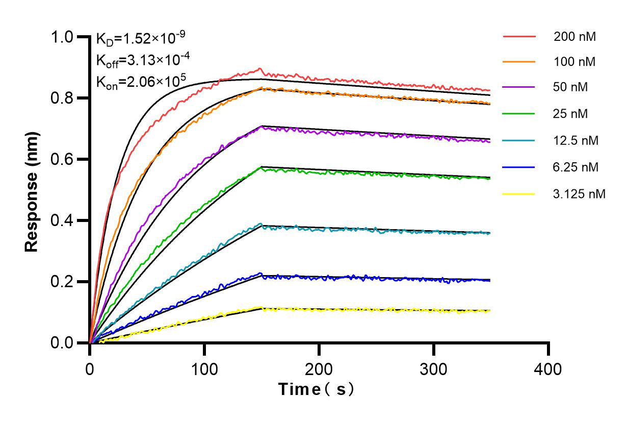 Affinity and Kinetic Characterization of 98066-1-RR