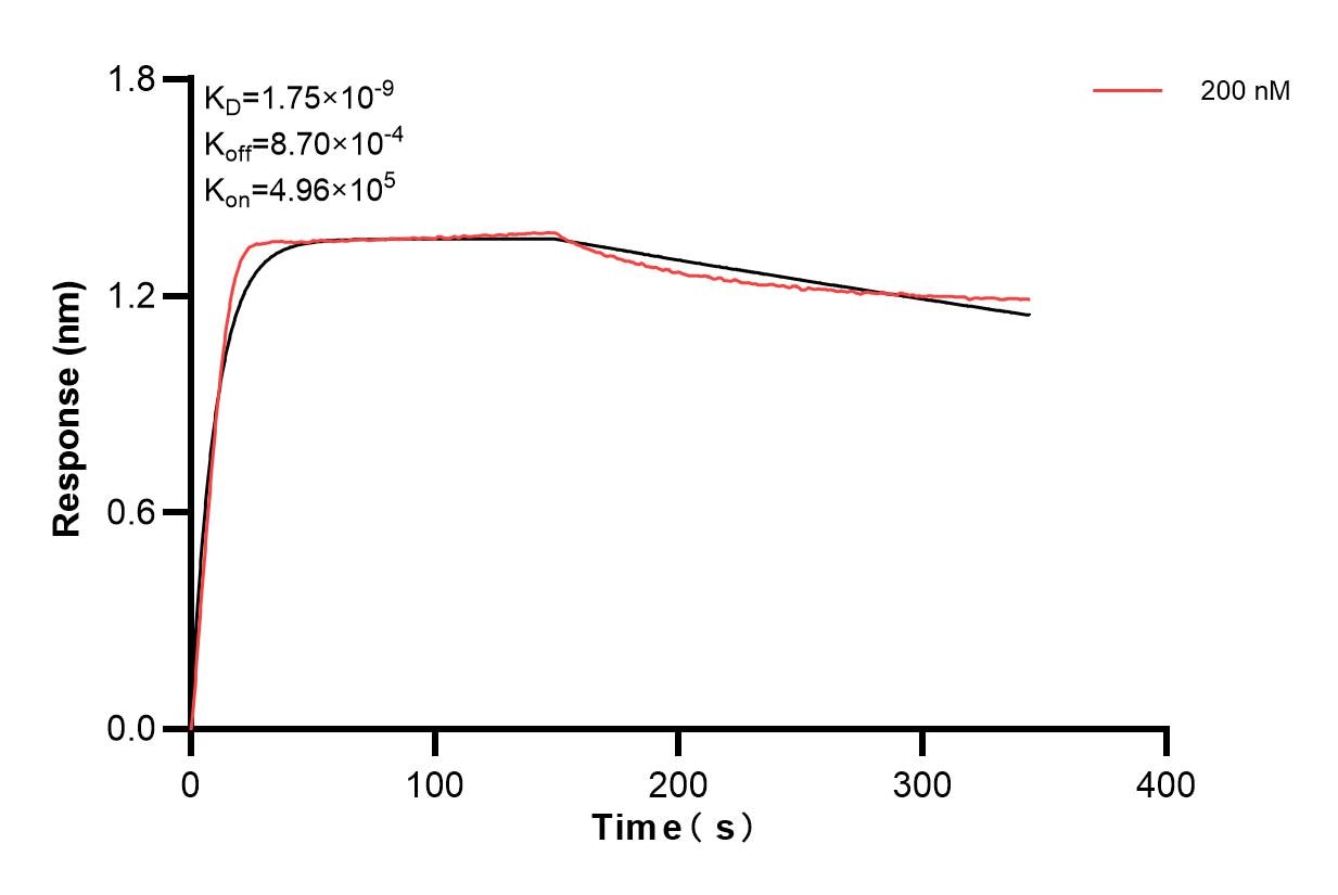 Affinity of 98075-1-PBS
