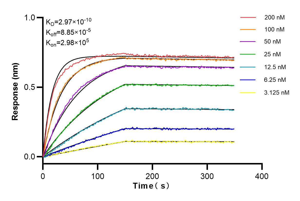 Affinity and Kinetic Characterization of 98076-1-RR