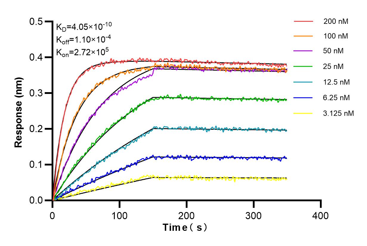 Affinity and Kinetic Characterization of 98091-2-RR