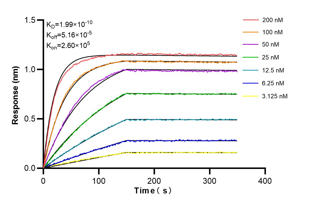 Affinity and Kinetic Characterization of 98119-1-RR