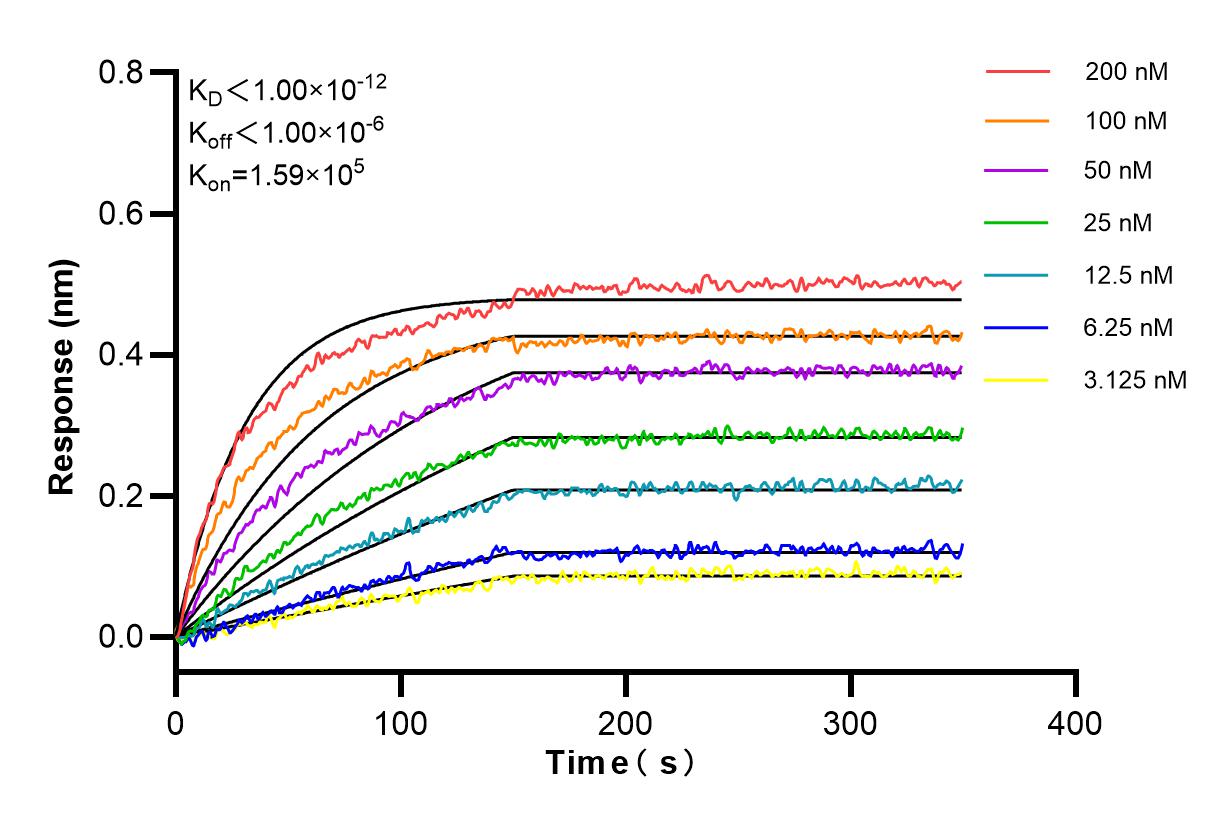 Affinity and Kinetic Characterization of 98129-1-RR