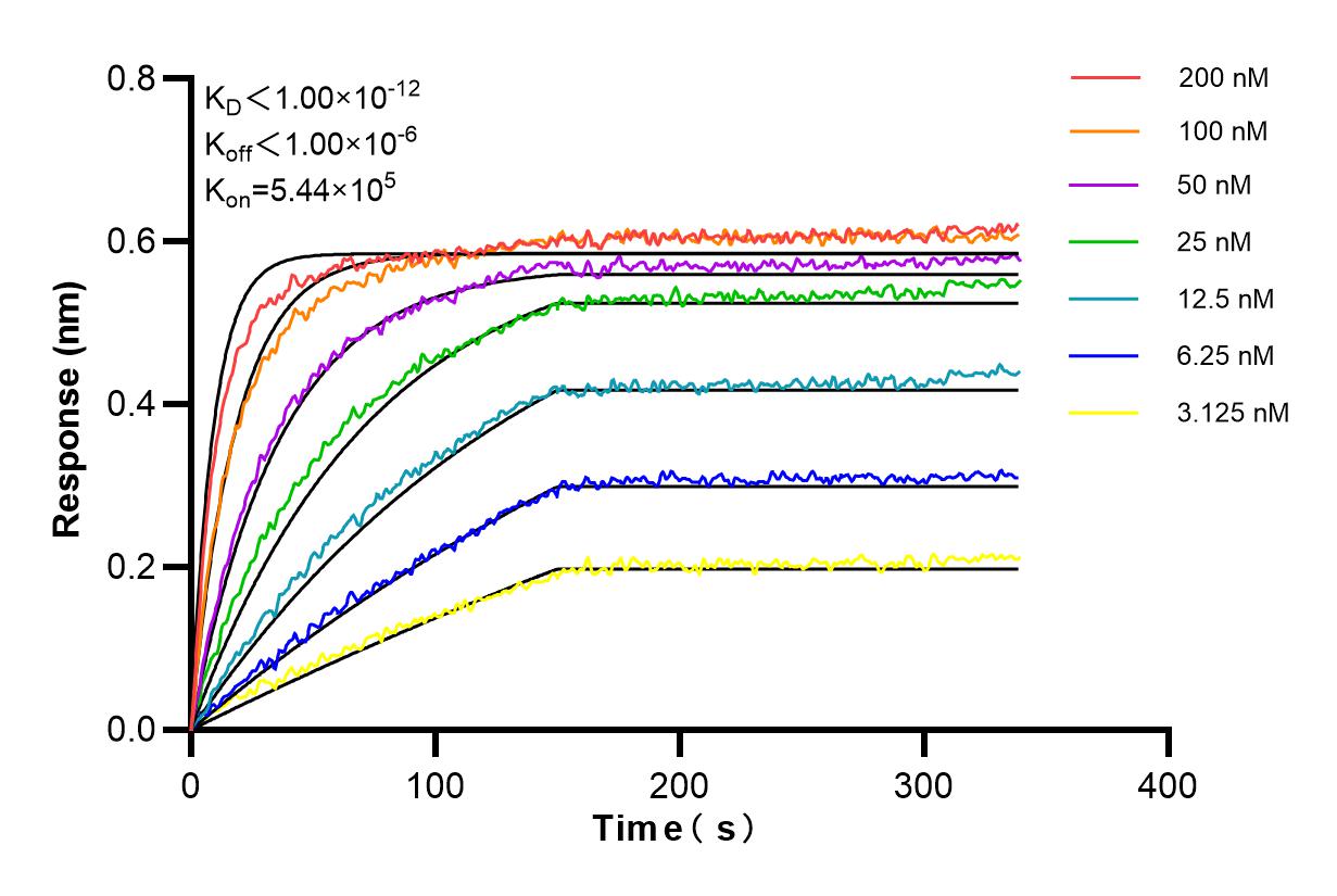 Affinity and Kinetic Characterization of 98201-1-RR