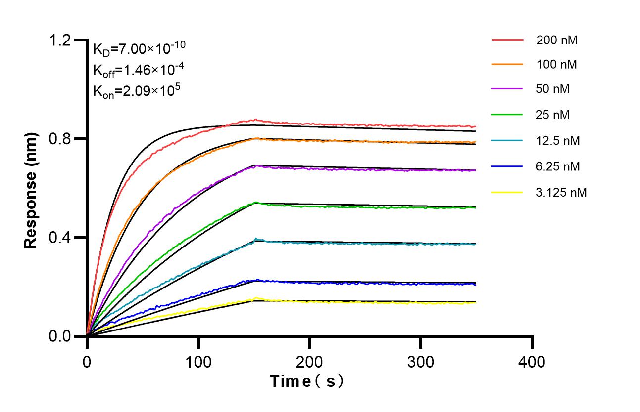 Affinity of 98230-2-RR