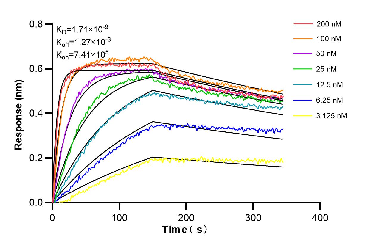 Affinity and Kinetic Characterization of 98233-1-RR