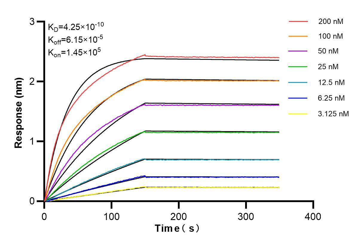 Affinity and Kinetic Characterization of 98250-1-RR