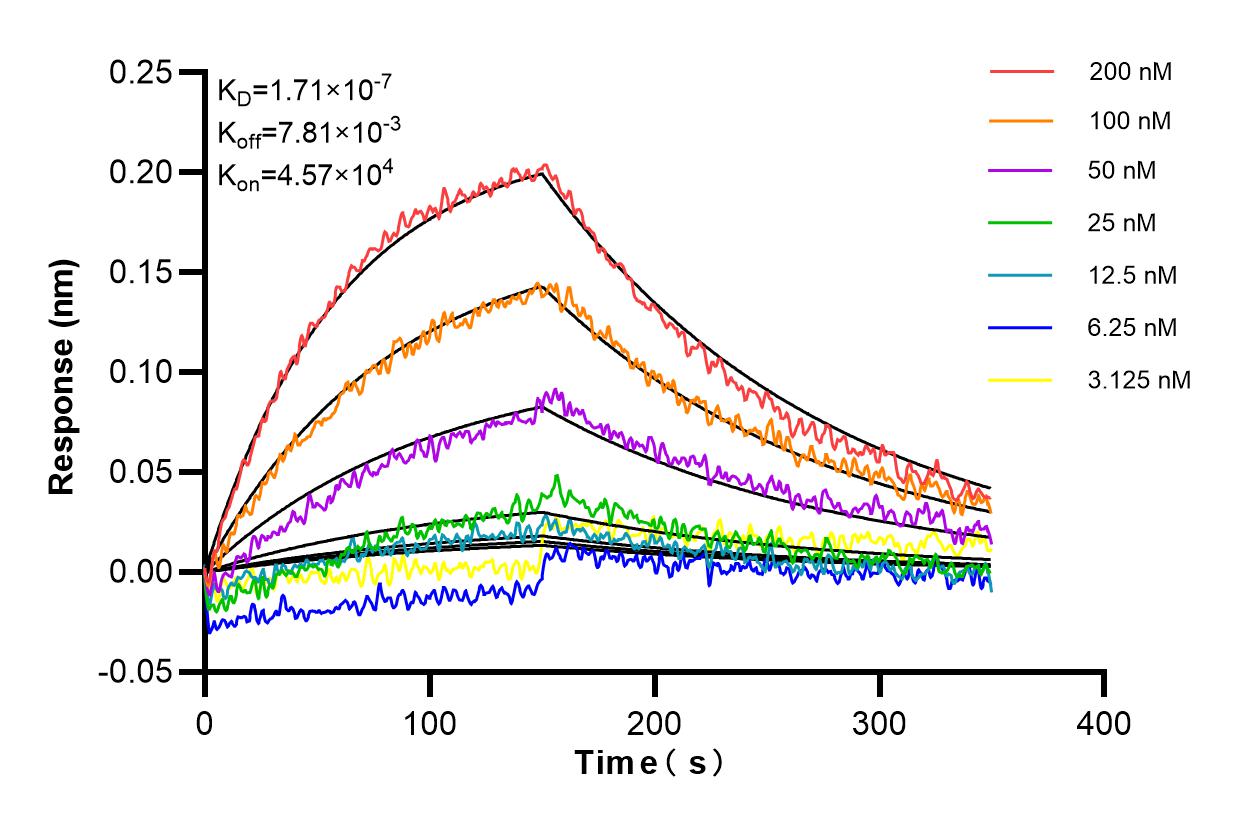 Affinity and Kinetic Characterization of 98263-1-RR