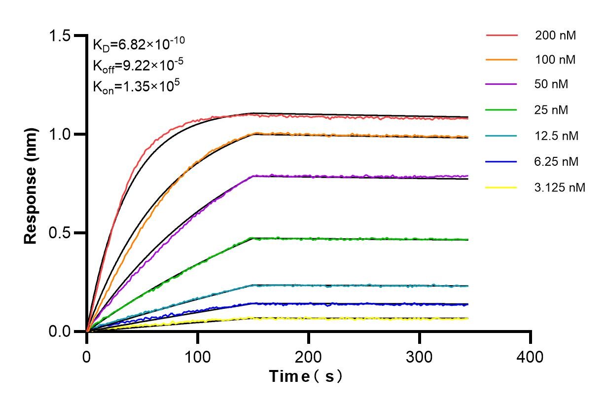 Affinity and Kinetic Characterization of 98264-6-RR