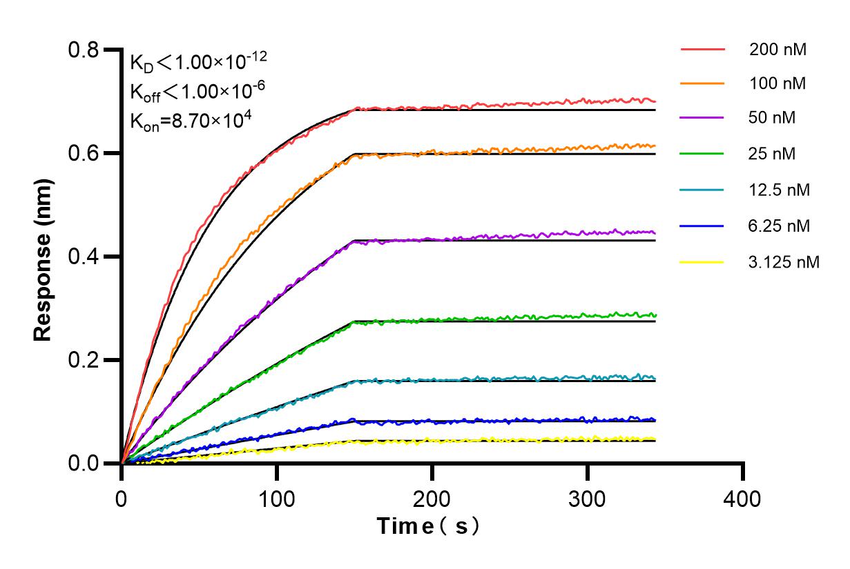 Affinity and Kinetic Characterization of 98288-1-RR