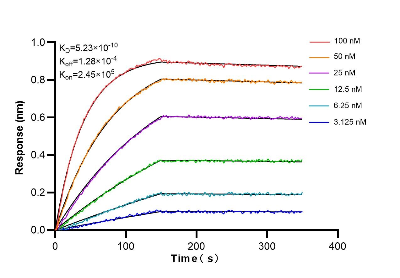 Affinity and Kinetic Characterization of 98290-1-RR