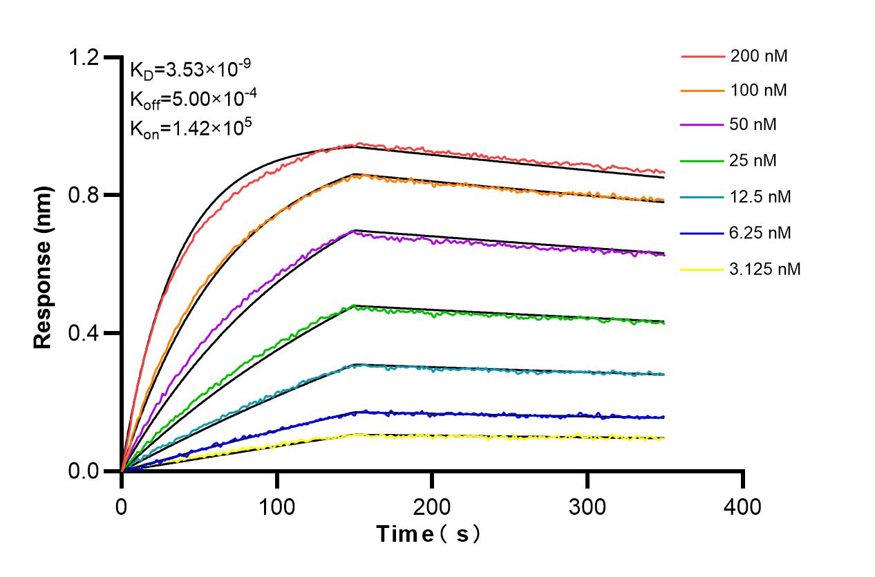 Affinity and Kinetic Characterization of 98304-3-RR Affinity and Kinetic Characterization of 98304-3-RR