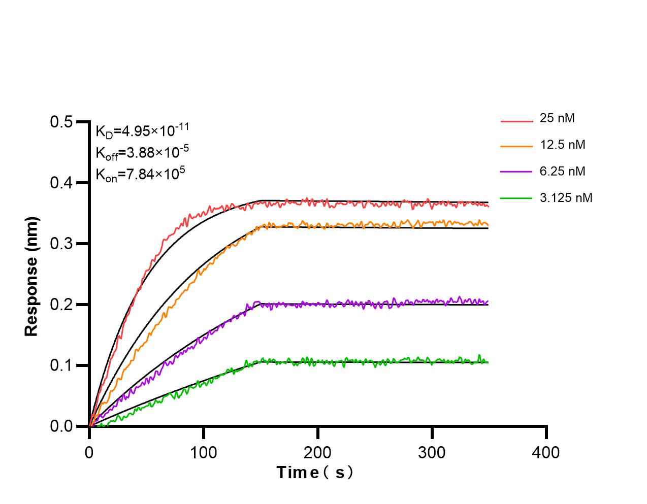Biolayer interferometry (BLl) kinetic assays of 98335-3-RR against Mouse Galectin-3 were performed. The affinity constant is 49.5 pM. Affinity and Kinetic Characterization of 98335-3-RR