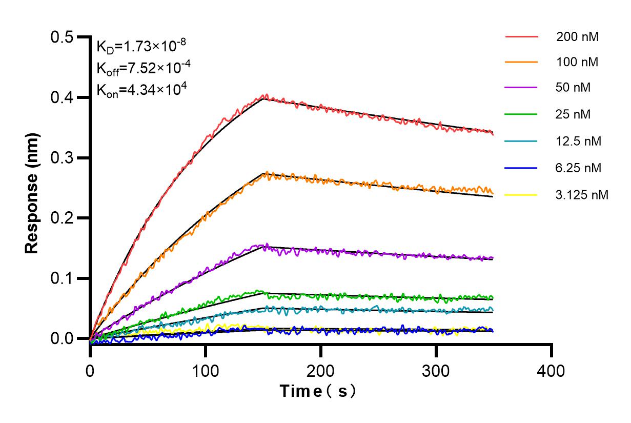 Affinity and Kinetic Characterization of 98349-1-MR Affinity and Kinetic Characterization of 98349-1-MR