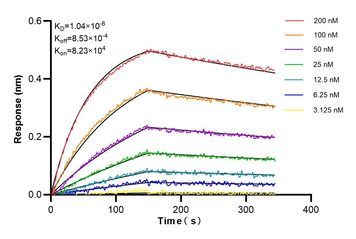 Affinity and Kinetic Characterization of 98358-1-RR