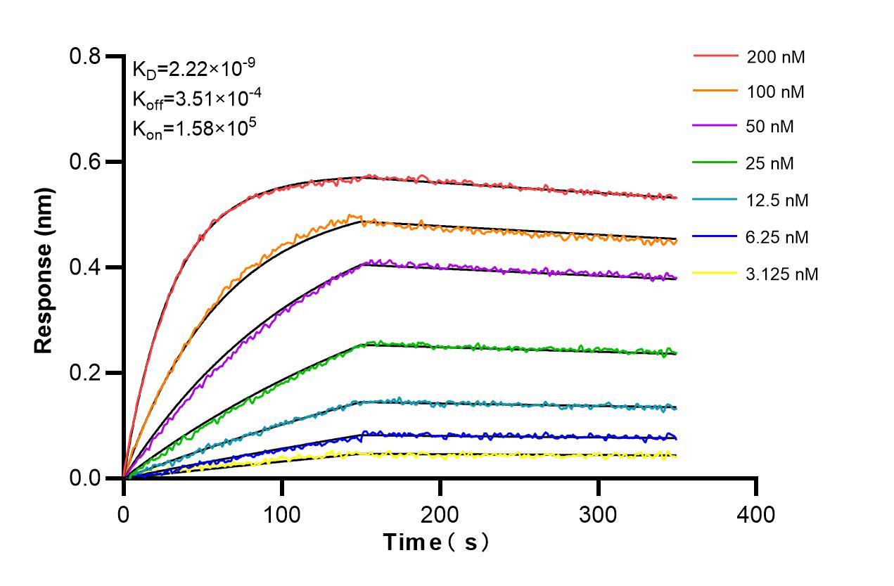 Affinity and Kinetic Characterization of 98362-2-RR Affinity and Kinetic Characterization of 98362-2-RR