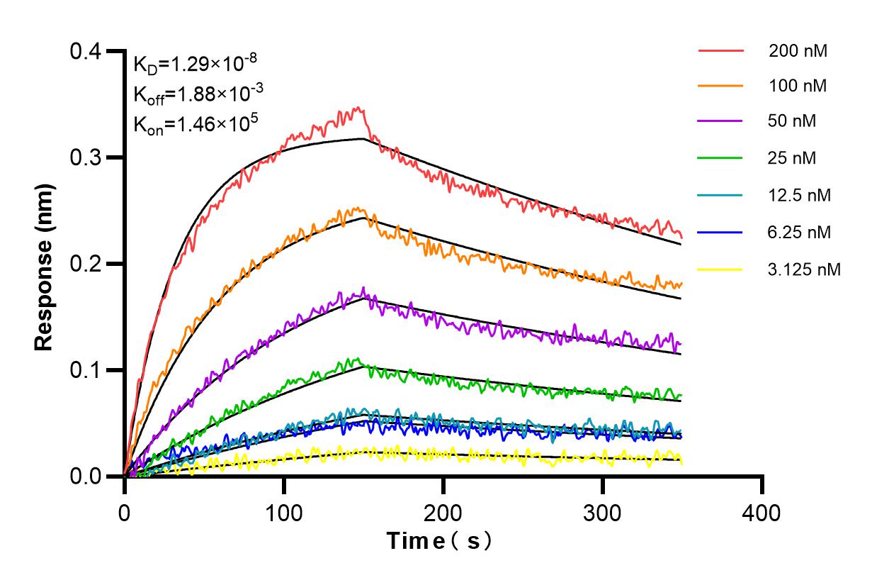 Affinity and Kinetic Characterization of 98387-1-RR