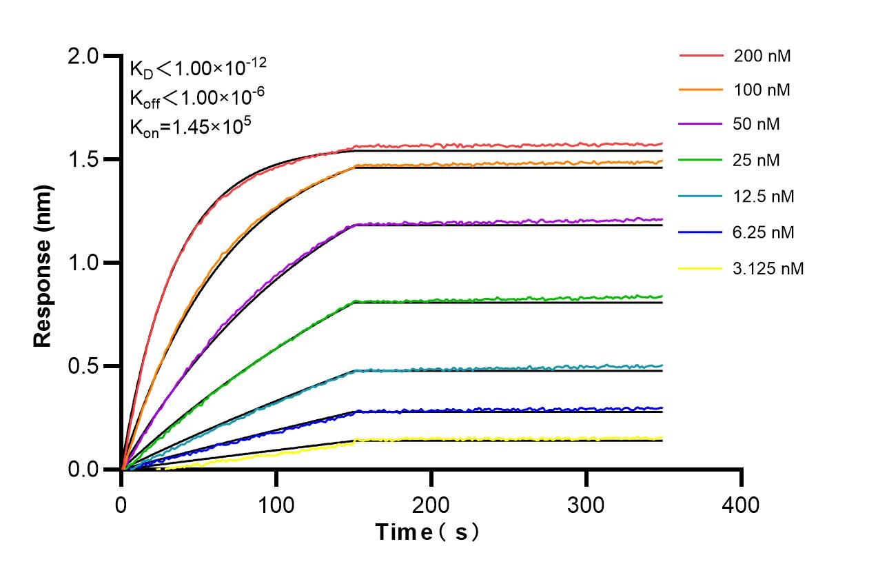 Affinity and Kinetic Characterization of 98396-1-RR