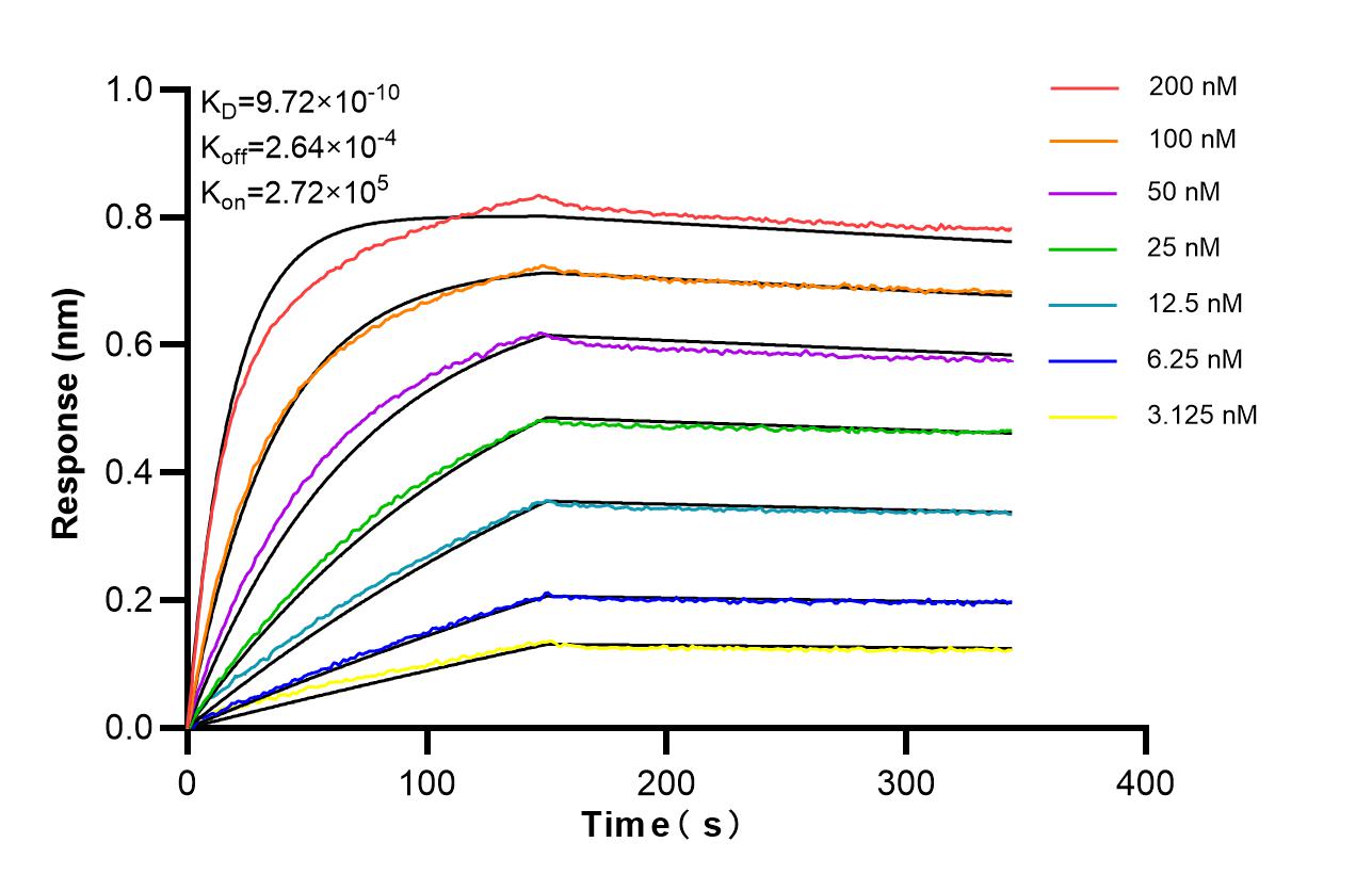 Affinity of 98421-4-RR