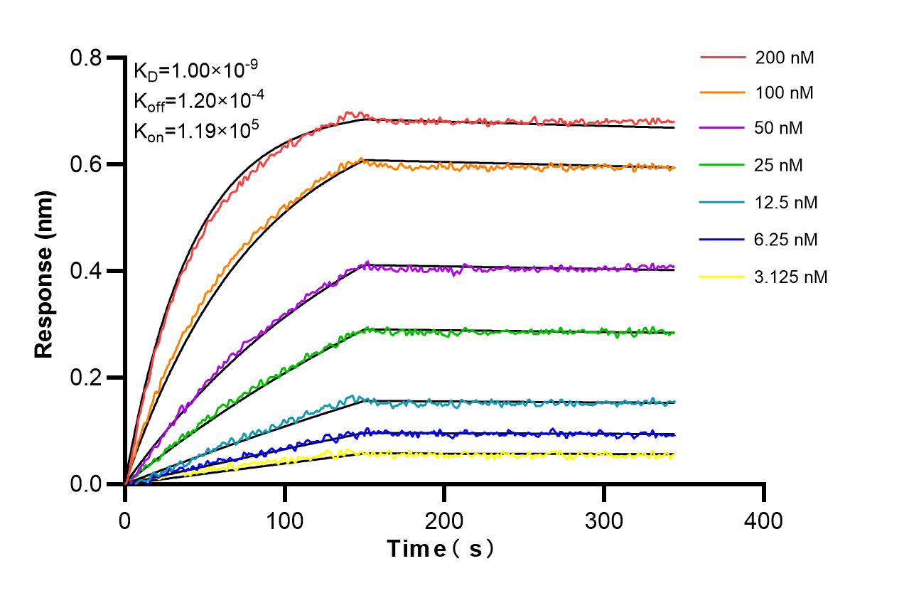 Affinity and Kinetic Characterization of 98441-3-RR