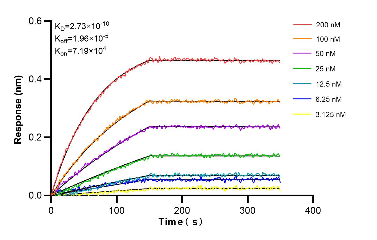 Biolayer interferometry (BLl) kinetic assays of 98456-3-RR against Mouse CD47 were performed. The affinity constant is 0.273 nM. Affinity and Kinetic Characterization of 98456-3-RR