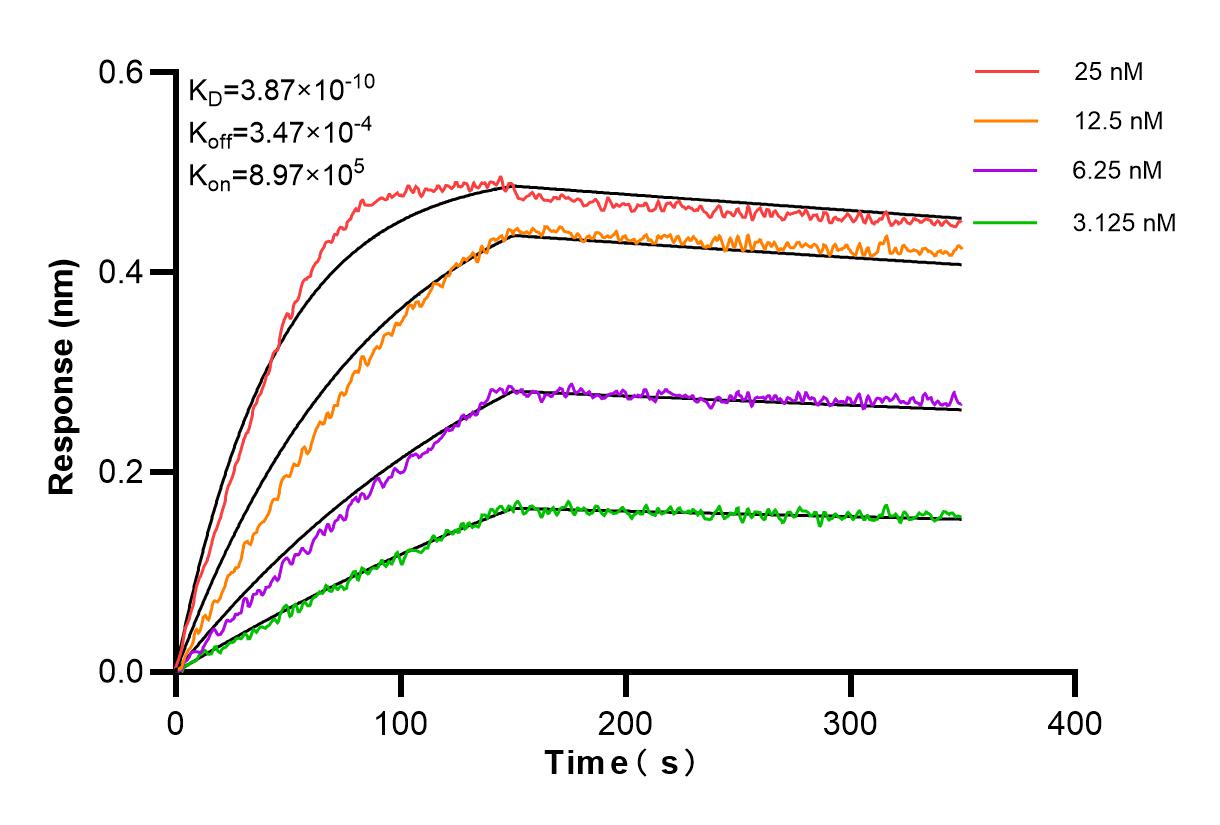 CD25/IL-2RA antibody (98469-1-RR) | Proteintech