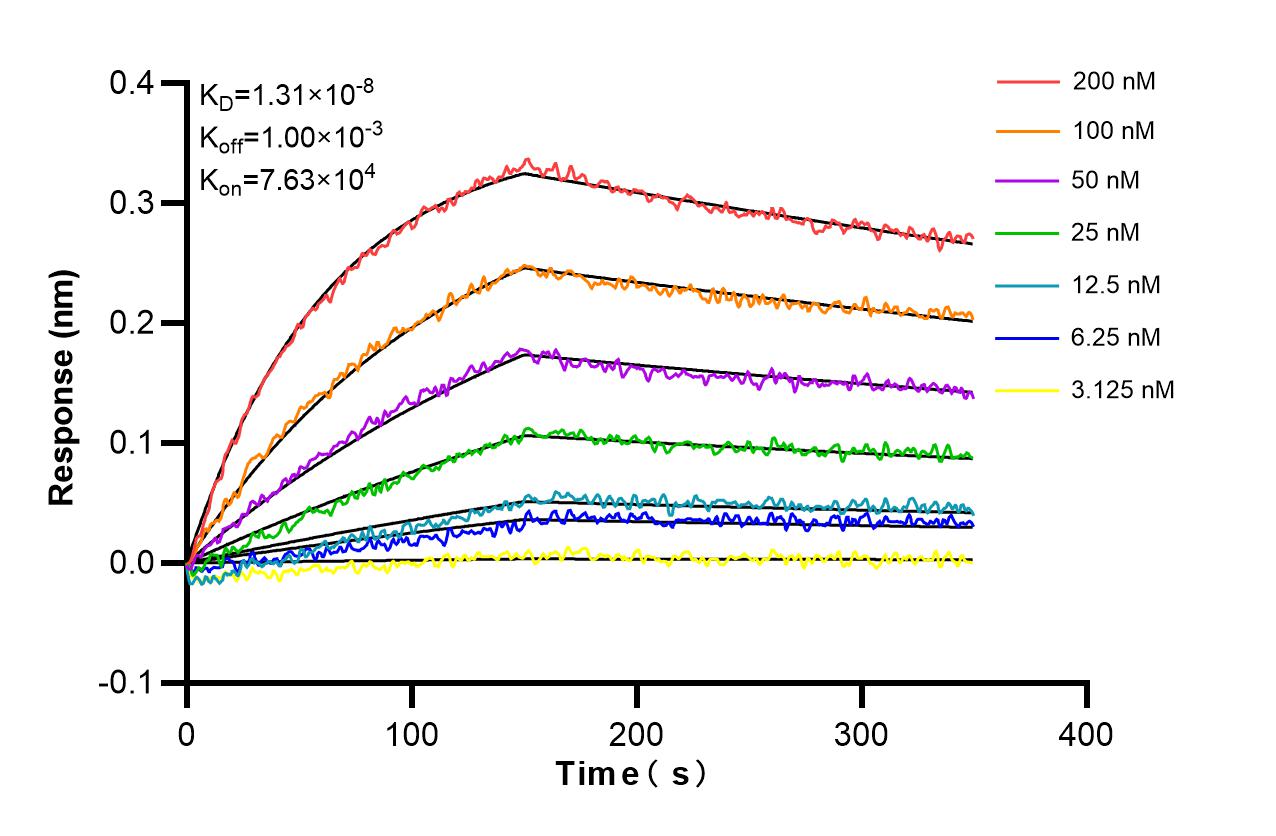 Affinity and Kinetic Characterization of 98470-2-RR