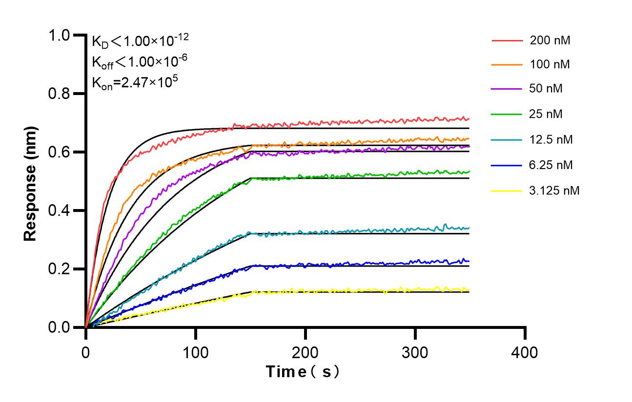 Affinity and Kinetic Characterization of 98472-2-RR