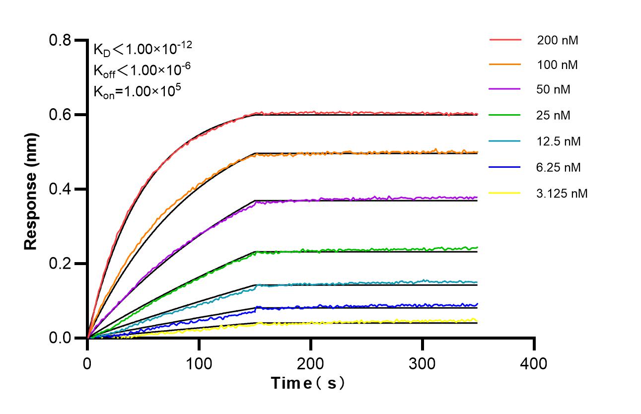 Affinity of 98474-5-RR Affinity of 98474-5-RR