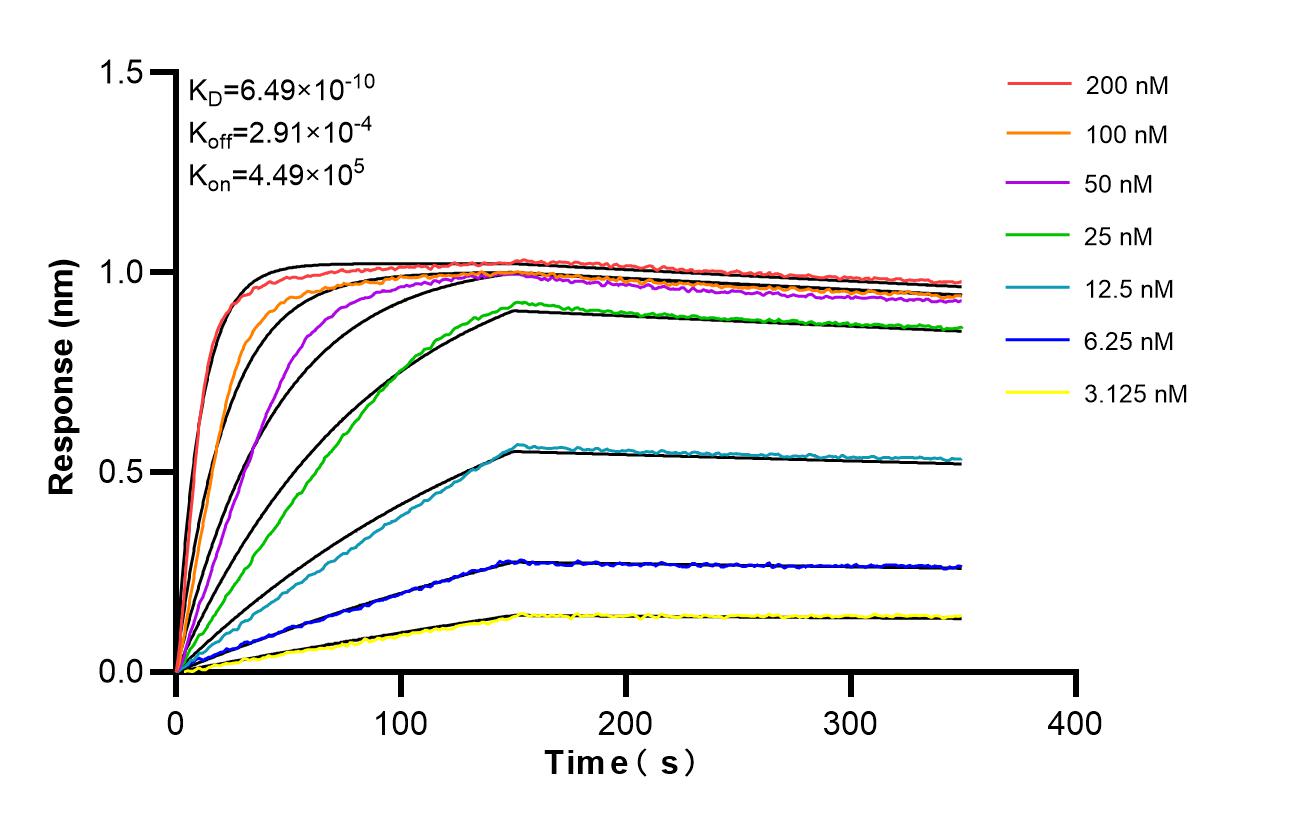 Affinity and Kinetic Characterization of 98475-1-RR