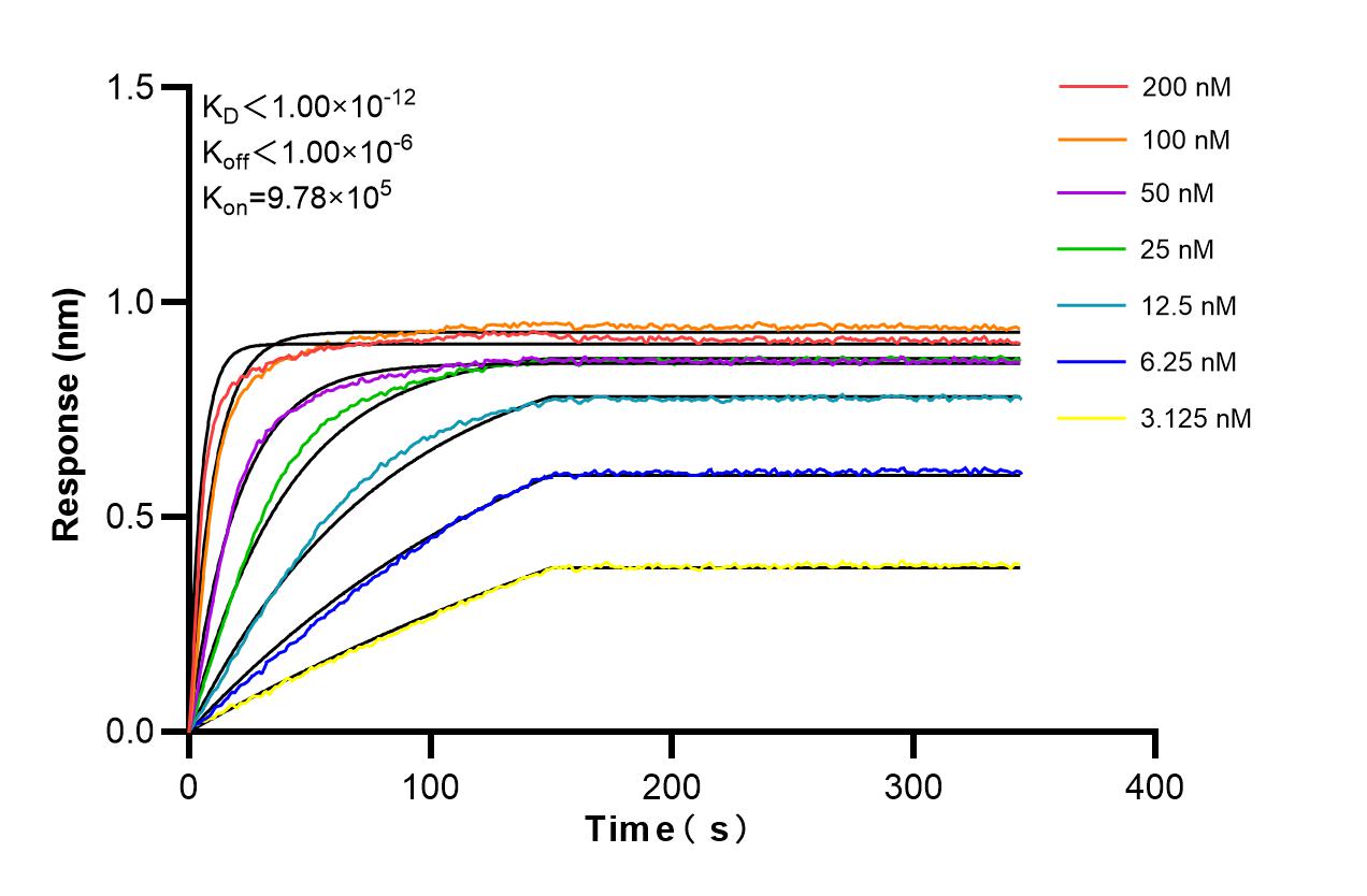 Affinity and Kinetic Characterization of 98480-1-RR Affinity and Kinetic Characterization of 98480-1-RR