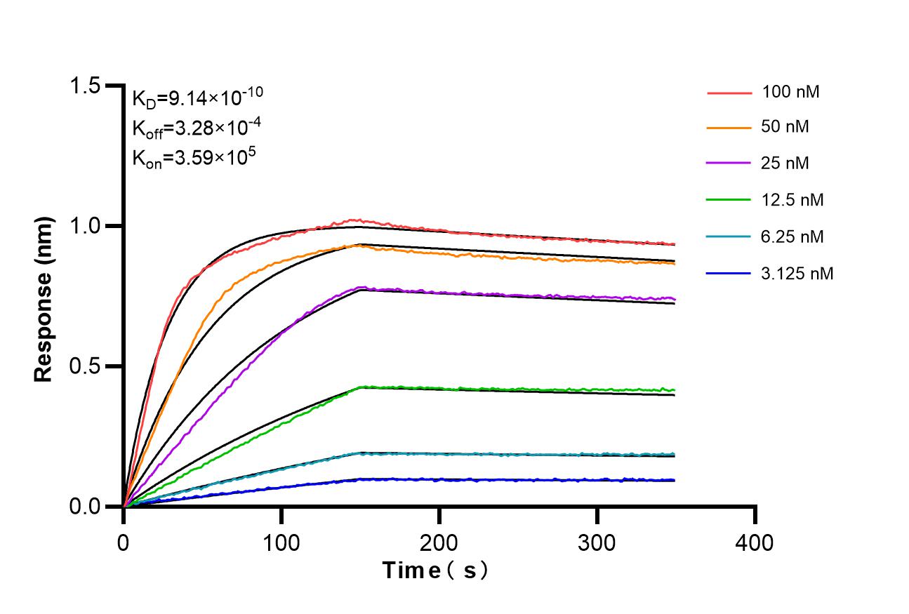 Affinity and Kinetic Characterization of 98501-2-RR