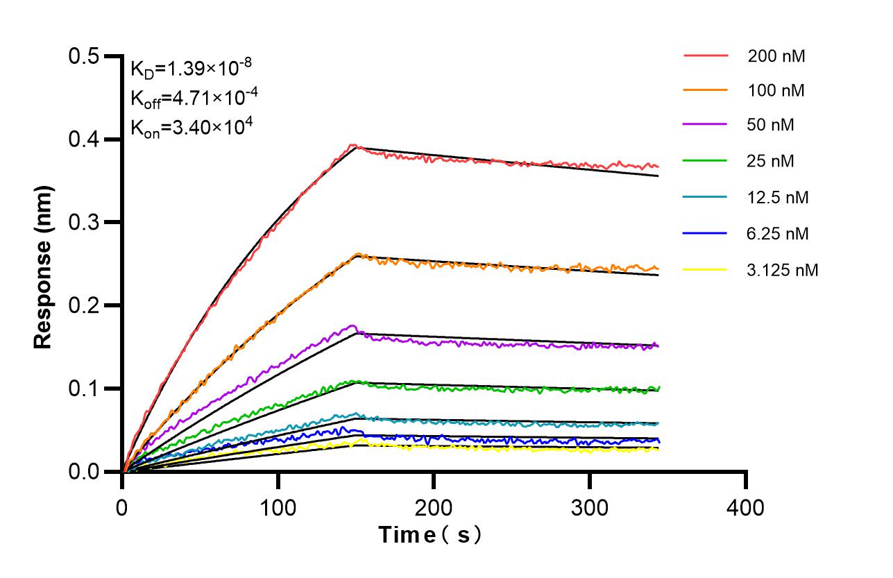 Biolayer interferometry (BLl) kinetic assays of 98505-5-RR against Mouse S100A9 were performed. The affinity constant is 13.9 nM. Affinity of 98505-5-RR