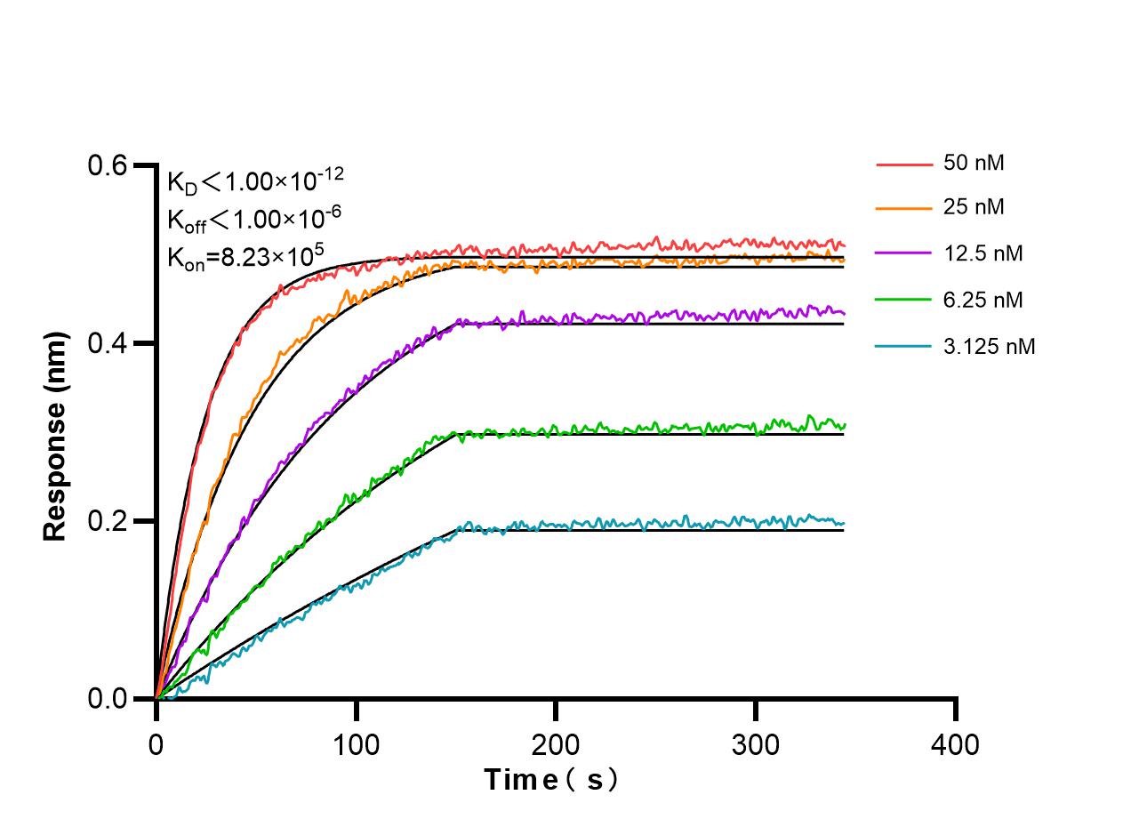 SEMA4A antibody (98513-2-RR) | Proteintech