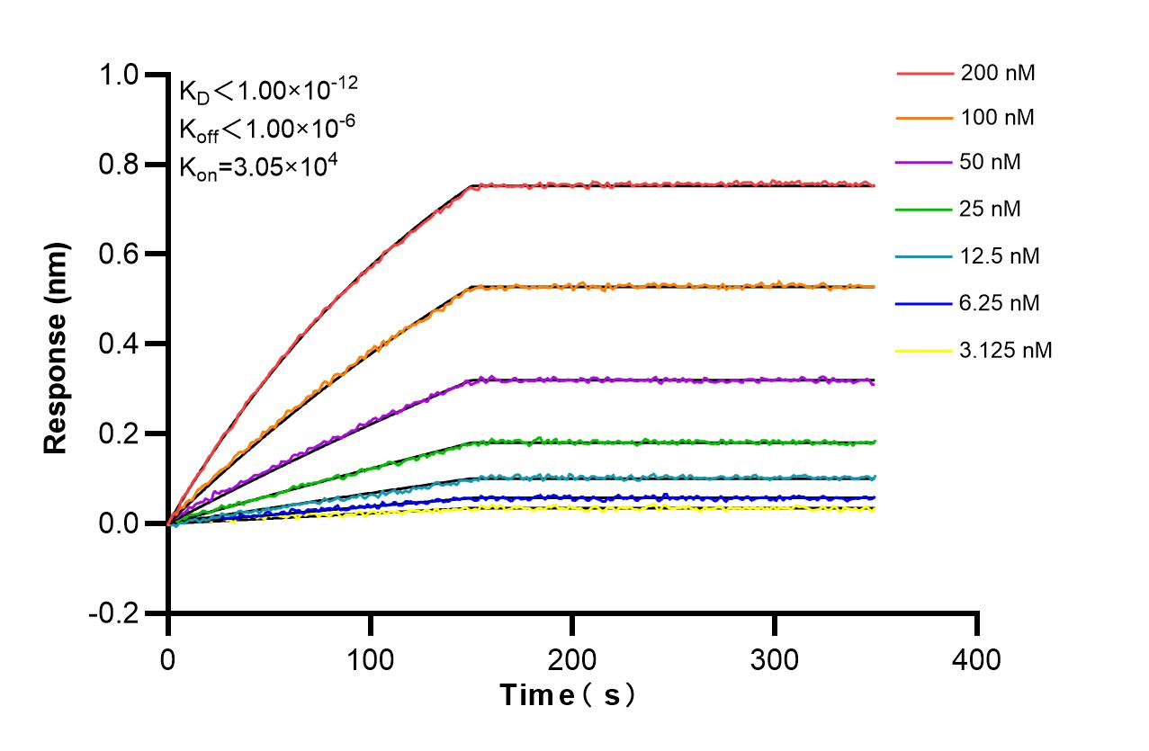 Affinity and Kinetic Characterization of 98520-2-RR Affinity and Kinetic Characterization of 98520-2-RR