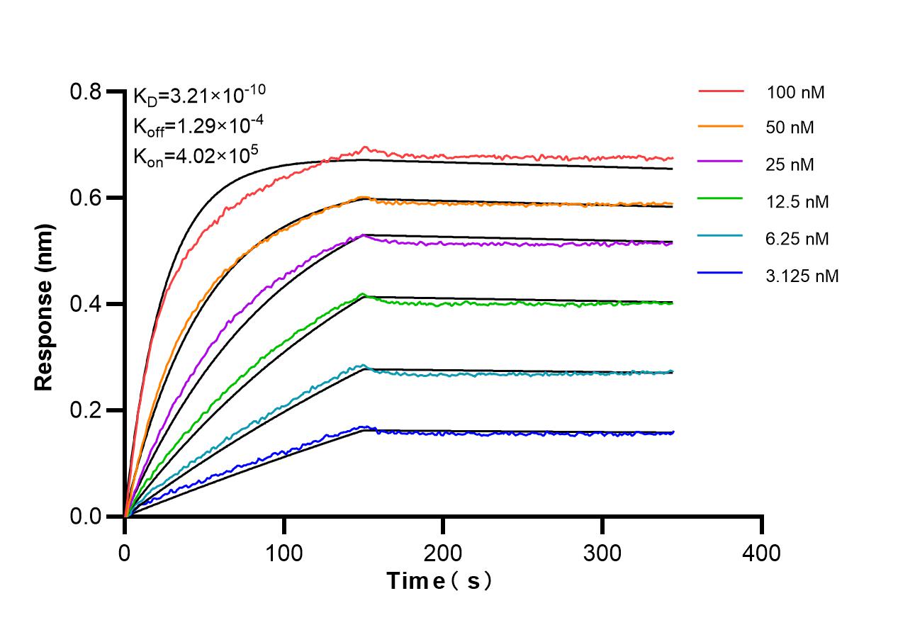 Affinity and Kinetic Characterization of 98561-2-RR Affinity and Kinetic Characterization of 98561-2-RR