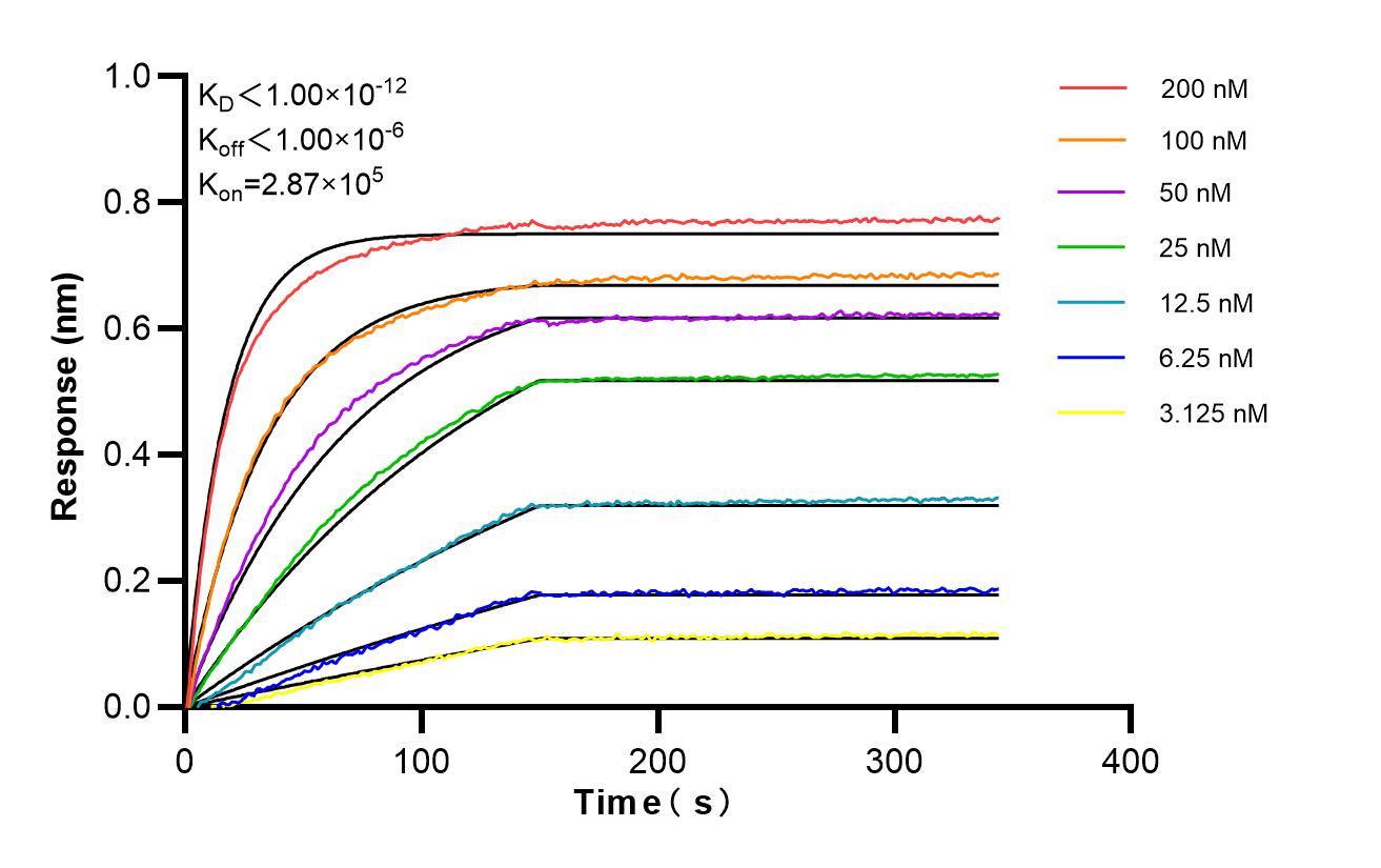 Affinity of 98569-3-RR
