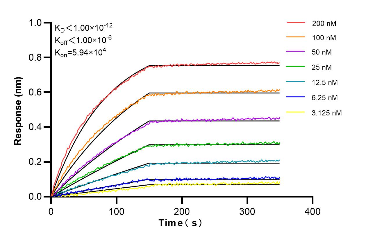 Affinity and Kinetic Characterization of 98596-2-RR