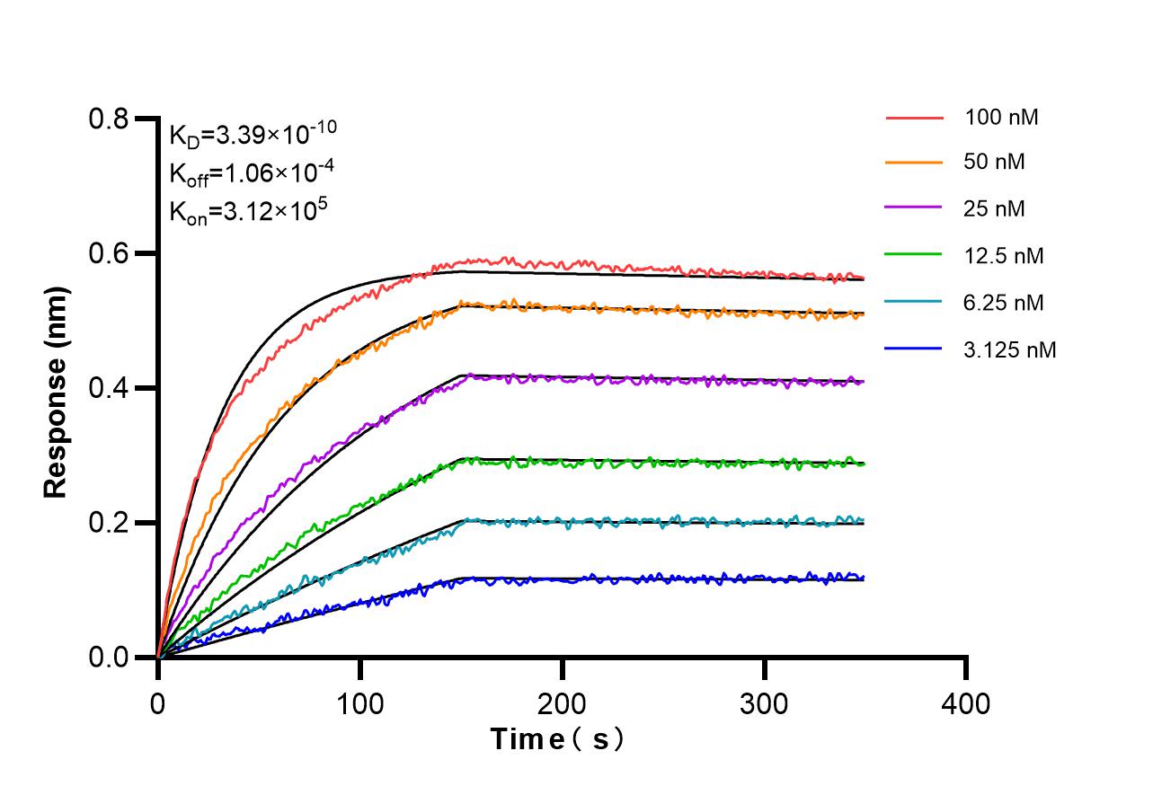 Affinity and Kinetic Characterization of 98605-2-RR Affinity and Kinetic Characterization of 98605-2-RR