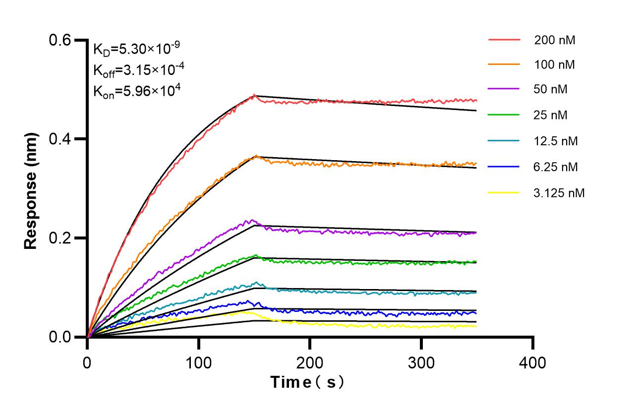 Affinity of 98625-2-RR Affinity of 98625-2-RR