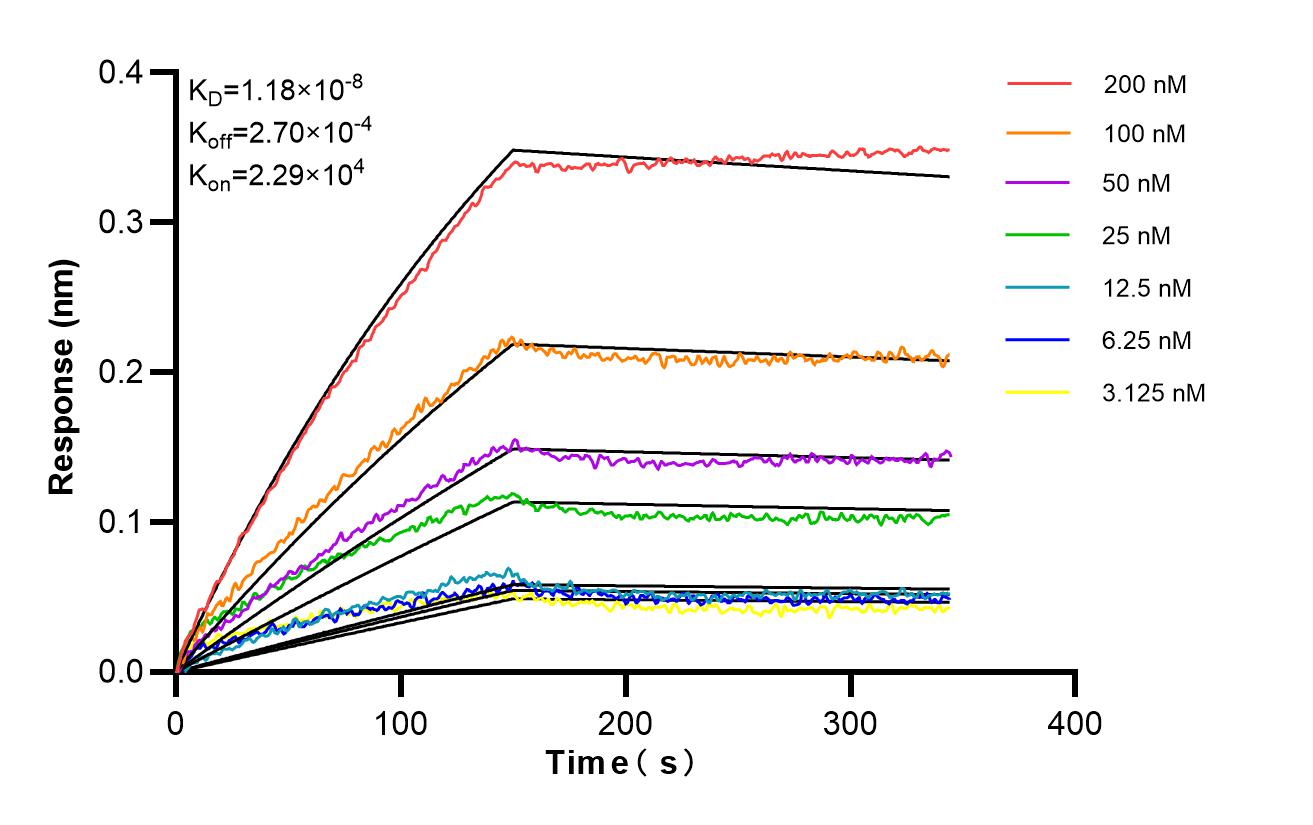 Affinity and Kinetic Characterization of 98643-1-RR