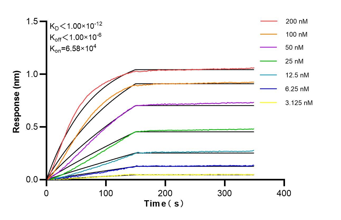 Affinity of 98645-2-RR Affinity of 98645-2-RR