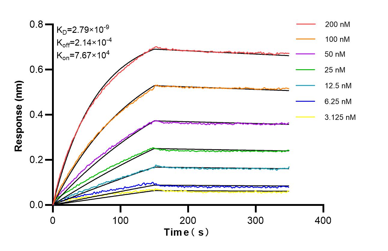 Affinity of 98647-1-RR