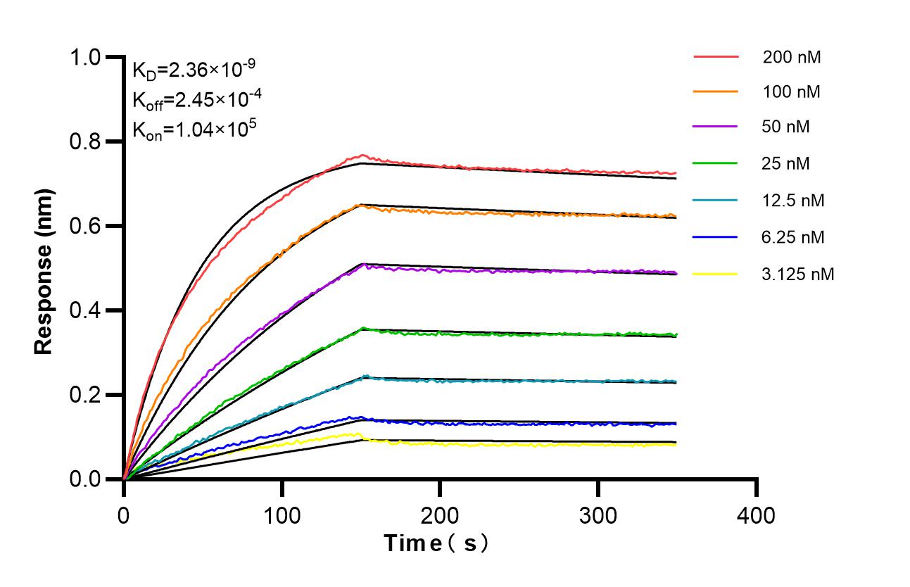 Affinity of 98665-1-RR