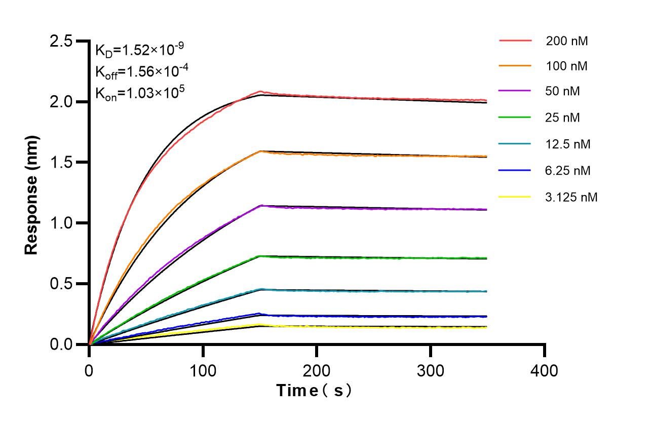 Affinity of 98667-2-RR