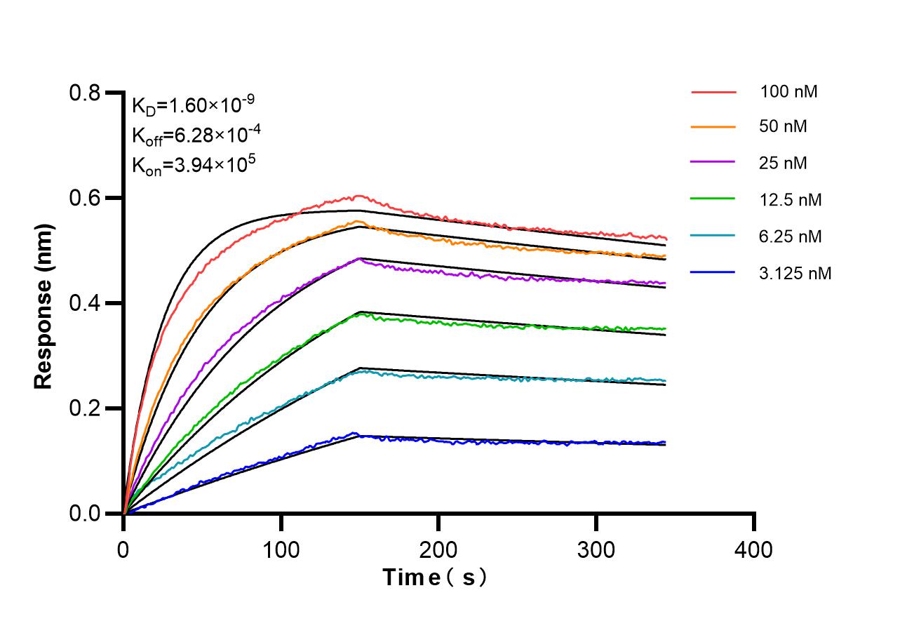 Affinity of 98674-2-RR