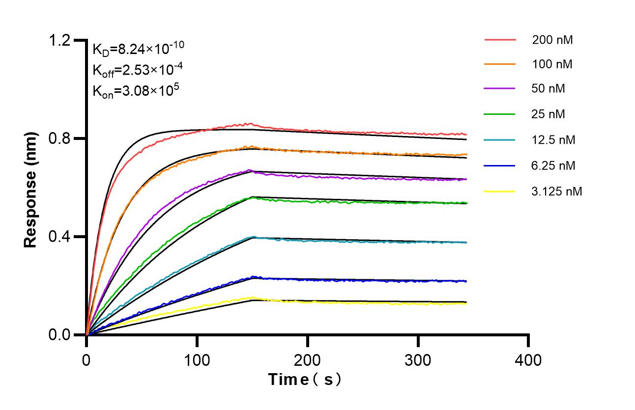 Affinity of 98700-1-RR Affinity of 98700-1-RR